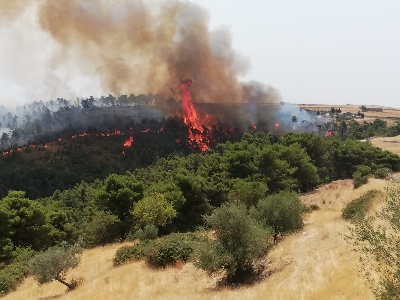 https://www.ragusanews.com/immagini_articoli/19-04-2025/incendio-a-giarratana-le-fiamme-minacciano-alcune-abitazioni-300.jpg
