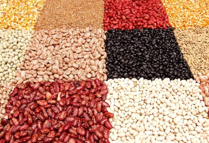 https://www.ragusanews.com/immagini_articoli/20-04-2022/dieta-ipolipidica-quando-seguirla-500.jpg