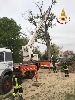 https://www.ragusanews.com/immagini_articoli/20-05-2024/cade-da-un-cestello-rovina-da-altezza-di-6-metri-elisoccorso-100.jpg