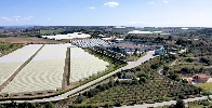 https://www.ragusanews.com/immagini_articoli/20-09-2022/verdura-e-ortaggi-a-ispica-la-crisi-accorcia-il-raccolto-pianificato-100.jpg