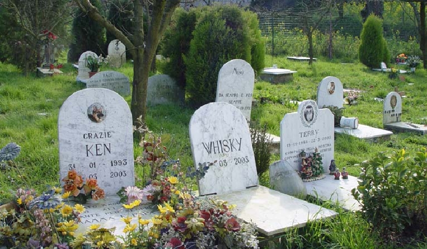 https://www.ragusanews.com/immagini_articoli/21-03-2017/grillini-fanno-cimitero-animali-500.jpg