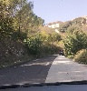 https://www.ragusanews.com/immagini_articoli/21-10-2023/gli-alberi-sulla-carreggiata-lungo-la-vecchia-modica-ragusa-100.jpg