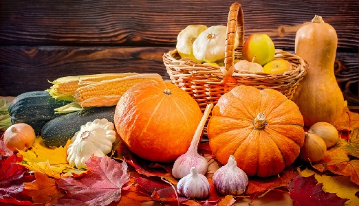 https://www.ragusanews.com/immagini_articoli/22-09-2022/come-dimagrire-con-la-dieta-per-l-autunno-senza-troppi-sacrifici-300.jpg