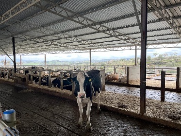 https://www.ragusanews.com/immagini_articoli/23-02-2022/1645613346-gli-studenti-dell-agrario-studiano-il-biogas-dell-azienda-occhipinti-2-280.jpg