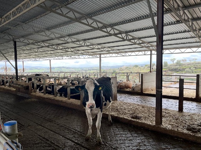 https://www.ragusanews.com/immagini_articoli/23-02-2022/1645613346-gli-studenti-dell-agrario-studiano-il-biogas-dell-azienda-occhipinti-2-500.jpg
