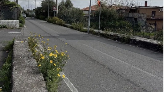 https://www.ragusanews.com/immagini_articoli/23-03-2025/ignazio-riccardo-asti-il-58enne-catanese-morto-nell-incidente-a-san-giovanni-galermo-300.jpg