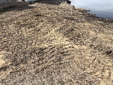 https://www.ragusanews.com/immagini_articoli/23-06-2022/1656018230-l-altra-faccia-di-marzamemi-quella-per-i-non-vip-3-280.jpg