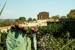 https://www.ragusanews.com/immagini_articoli/23-08-2019/il-giardino-mediterraneo-di-villa-aurea-valle-dei-templi-100.jpg