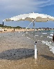 https://www.ragusanews.com/immagini_articoli/23-08-2024/sensazione-di-assorbimento-quando-a-vincere-sono-i-perdenti-100.jpg