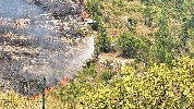 https://www.ragusanews.com/immagini_articoli/24-08-2023/incendio-dietro-il-cimitero-di-ragusa-100.jpg