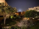 https://www.ragusanews.com/immagini_articoli/25-07-2024/degustazioni-in-giardino-a-palazzo-bonelli-patane-100.jpg