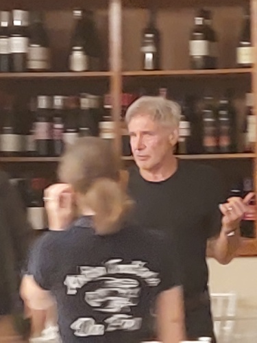 https://www.ragusanews.com/immagini_articoli/25-10-2021/1635156062-harrison-ford-e-antonio-banderas-cena-di-pesce-in-trattoria-2-500.jpg