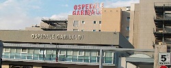 https://www.ragusanews.com/immagini_articoli/26-04-2025/lite-tra-parenti-in-ospedale-ferita-guardia-giurata-dell-ospedale-perforato-timpano-con-un-pugno-100.jpg