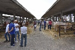 https://www.ragusanews.com/immagini_articoli/26-09-2022/fiera-agroalimentare-di-ragusa-dal-30-settembre-al-2-ottobre-100.jpg