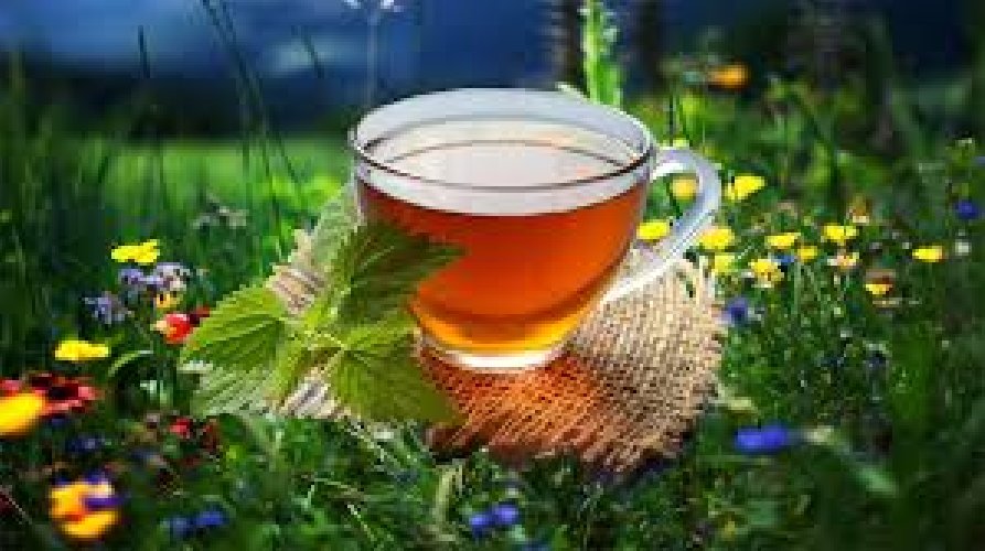 https://www.ragusanews.com/immagini_articoli/26-12-2020/tisane-rilassanti-come-prepararle-e-quali-erbe-usare-contro-ansia-e-stress-500.jpg
