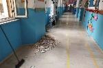 https://www.ragusanews.com/immagini_articoli/27-02-2025/cede-controsoffitto-a-scuola-paura-per-i-bimbi-100.jpg