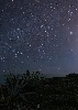 https://www.ragusanews.com/immagini_articoli/27-02-2025/foto-notturna-cielo-invernale-su-costa-di-carro-100.jpg