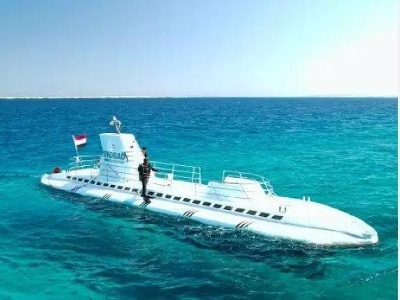https://www.ragusanews.com/immagini_articoli/27-03-2025/egitto-sottomarino-turistico-affonda-nel-mar-rosso-sei-morti-a-bordo-45-passeggeri-300.jpg