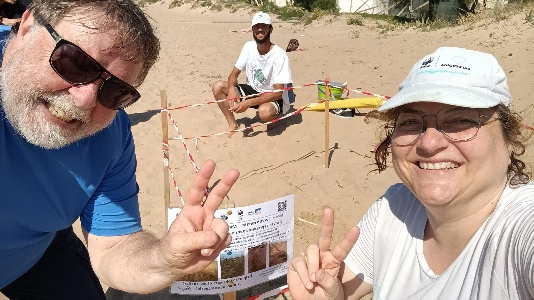 https://www.ragusanews.com/immagini_articoli/27-05-2024/1716834458-nel-ragusano-il-secondo-nido-di-tartaruga-caretta-caretta-in-italia-2-300.jpg