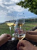 https://www.ragusanews.com/immagini_articoli/27-08-2024/etna-al-via-vinimilo-100.jpg