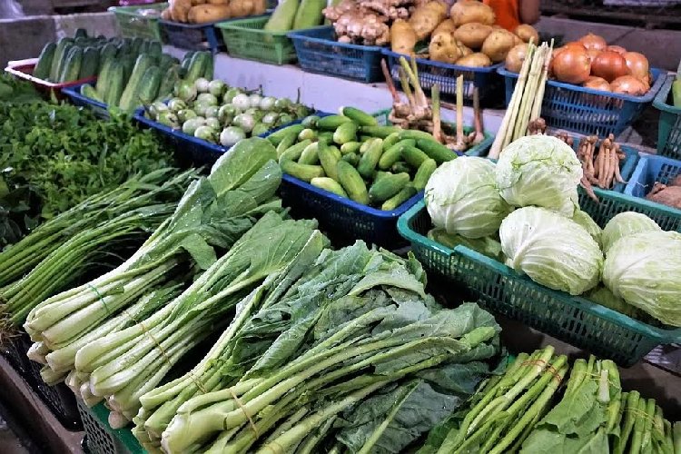 https://www.ragusanews.com/immagini_articoli/27-10-2020/dieta-invernale-come-dimagrire-con-la-frutta-e-la-verdura-di-stagione-500.jpg