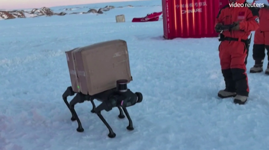 https://www.ragusanews.com/immagini_articoli/28-01-2025/ecco-il-cane-robot-in-grado-di-camminare-sulla-neve-e-trasportare-pacchi-500.jpg