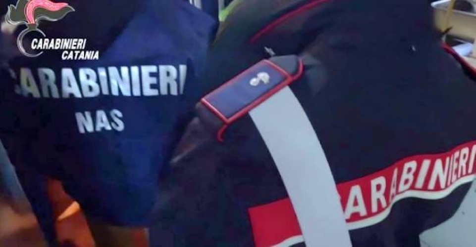 https://www.ragusanews.com/immagini_articoli/28-02-2025/insetti-striscianti-cicche-e-sporcizia-chiuso-il-bar-ristorante-500.jpg