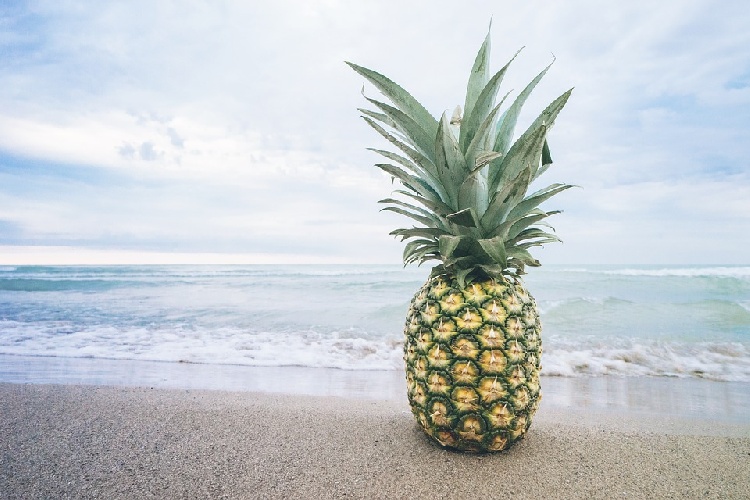 https://www.ragusanews.com/immagini_articoli/28-07-2021/dieta-ananas-e-tonno-per-un-dimagrimento-veloce-500.jpg