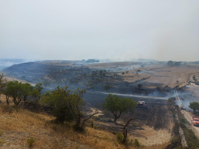 https://www.ragusanews.com/immagini_articoli/29-06-2024/di-nuovo-la-forestale-in-fiamme-a-chiaramonte-gulfi-500.jpg
