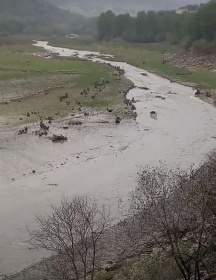 https://www.ragusanews.com/immagini_articoli/30-10-2021/ragusa-il-fiume-irminio-gonfiato-dalle-piogge-video-280.jpg