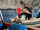 https://www.ragusanews.com/immagini_articoli/31-05-2024/sub-recupera-anfora-di-epoca-romana-scatta-foto-e-la-restituisce-al-mare-100.jpg