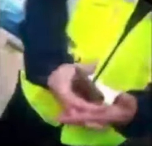 https://www.ragusanews.com/immagini_articoli/31-12-2021/la-ragazzina-idiota-senza-green-pass-e-la-calma-del-controllore-video-500.jpg