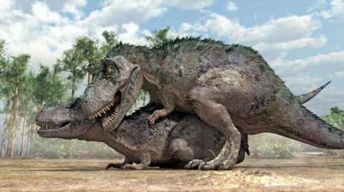 https://www.ragusanews.com/resizer/resize.php?url=https://www.ragusanews.com/immagini_articoli/16-08-2014/1408192728-0-siti-culturali-a-scicli-e-caos-il-ritorno-dei-dinosauri.jpg&size=893x500c0