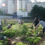 Orti urbani