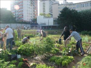 Orti urbani