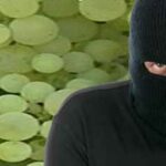 Furti nele aree rurali