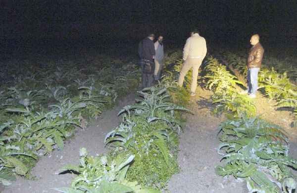 Furti nelle campagne di Acate, i denunciati