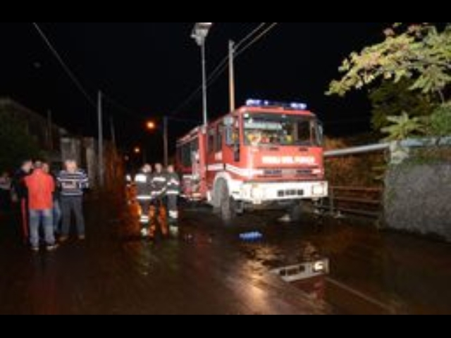 Cavallo invade statale, ucciso da auto