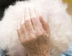 Anziani legati e rapinati in casa