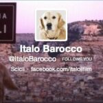 Il profilo Twitter di Italo Barocco