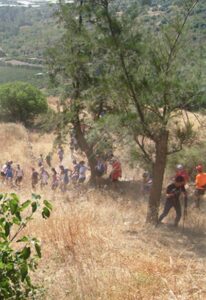La valle dei pini d’Aleppo