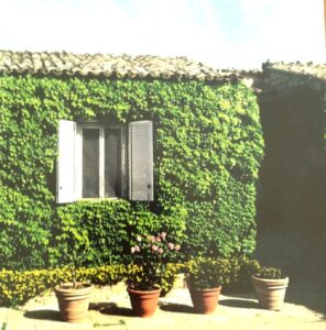 L’atelier di Guccione