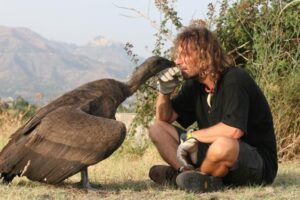 Angelo D’arrigo e un condor