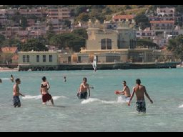 Piccolo pesce spada in golfo Mondello