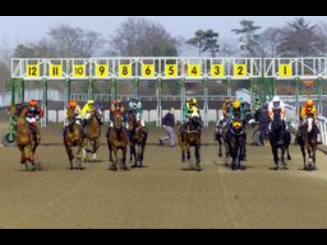 Scommesse ippodromo Palermo, 18 indagati