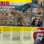 La copertina