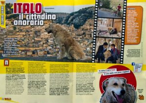 La copertina