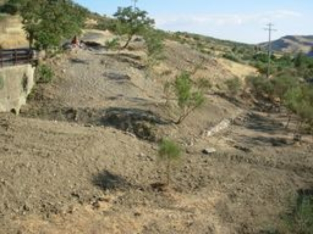 In Giardino memoria albero per Ievolella