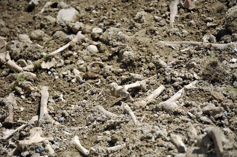 Ossa umana sulla 194, in prossimità di Giarratana