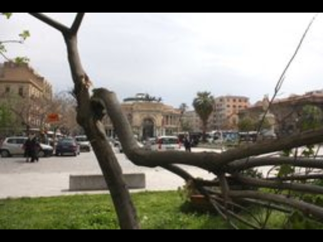 Maltempo: vento a Palermo, danni